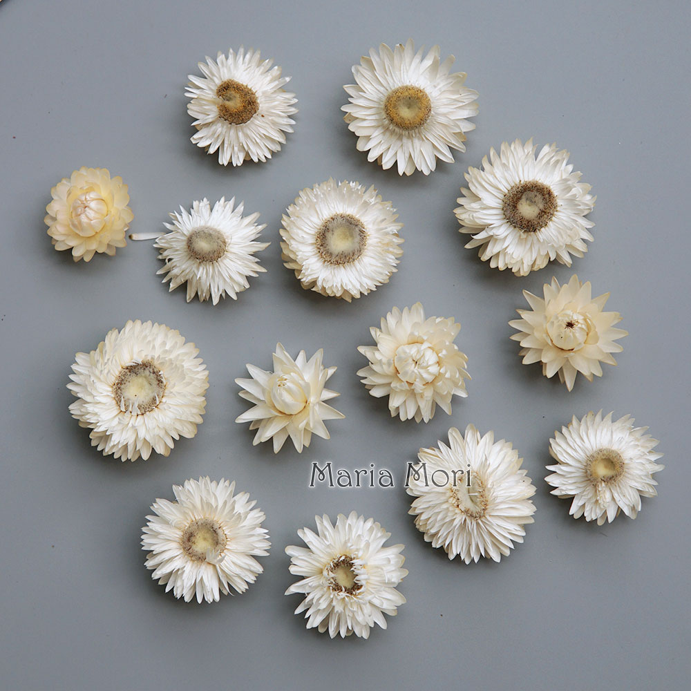 Holiday Candle Set - Natural Dried Colorful Chrysanthemum Wreath Handmade
